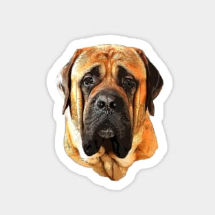 Boerboel Sticker